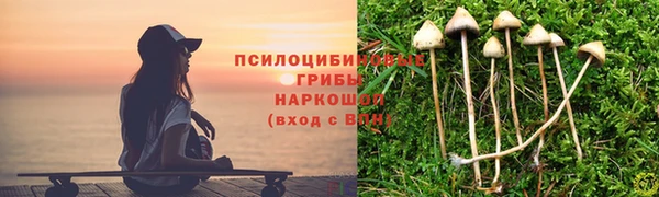 герыч Бронницы